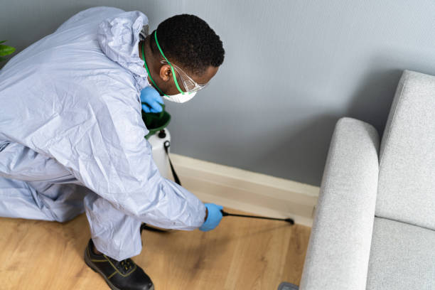 Best Fumigation Services  in Hart, TX